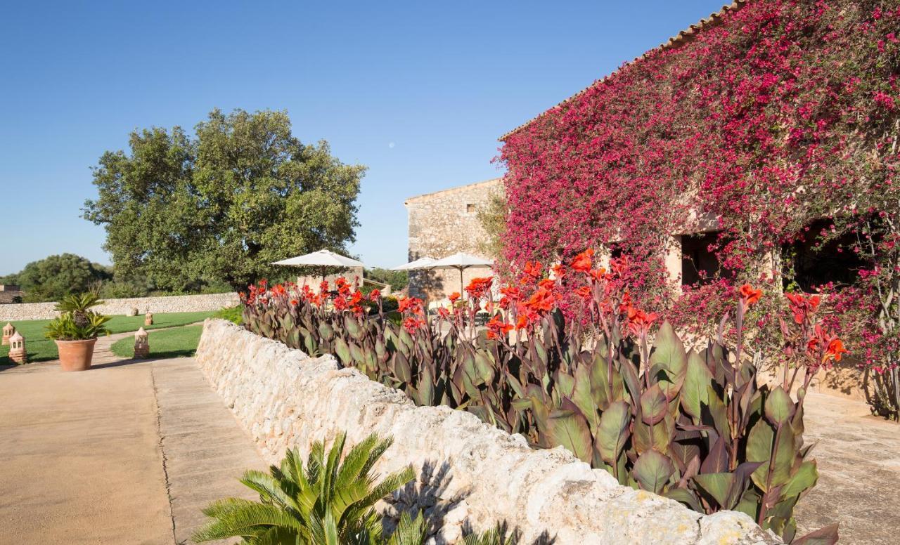 Hotel Son Cosmet